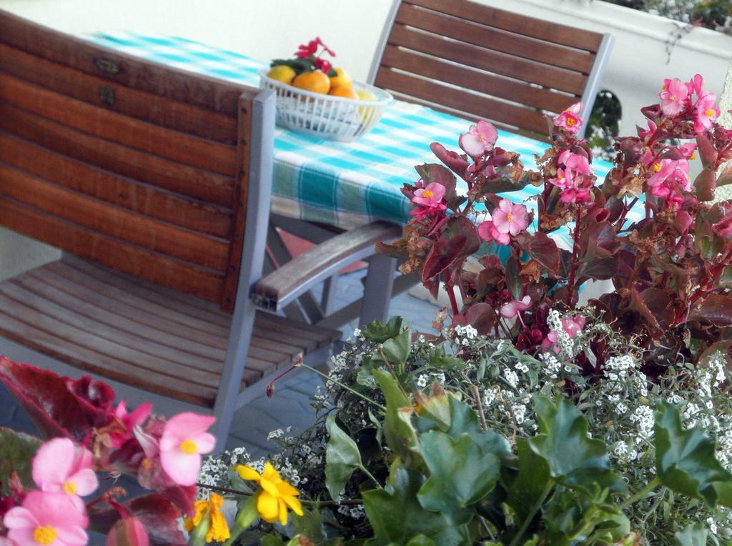 Apartmani Delfin Grebaštica Exteriér fotografie